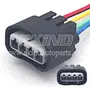 SK-B019